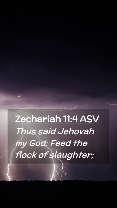 Picture 02 - Zechariah 11:4 ASV Mobile Phone Wallpaper - Thus said Jehovah my God: Feed the flock of - Mobile Bible Verse Wallpaper