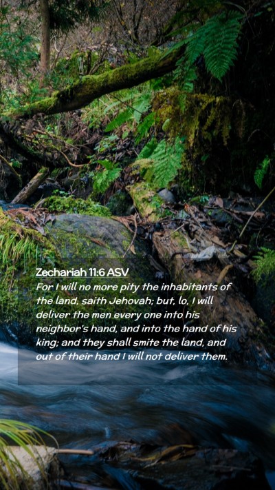 Picture 02 - Zechariah 11:6 ASV Mobile Phone Wallpaper - For I will no more pity the inhabitants of the - Mobile Bible Verse Wallpaper
