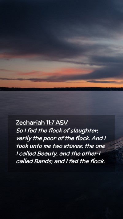 Picture 02 - Zechariah 11:7 ASV Mobile Phone Wallpaper - So I fed the flock of slaughter, verily the poor - Mobile Bible Verse Wallpaper