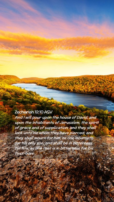 Picture 02 - Zechariah 12:10 ASV Mobile Phone Wallpaper - And I will pour upon the house of David, and upon - Mobile Bible Verse Wallpaper