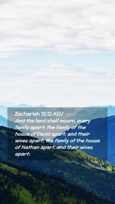 Picture 02 - Zechariah 12:12 ASV Mobile Phone Wallpaper - And the land shall mourn, every family apart; the - Mobile Bible Verse Wallpaper