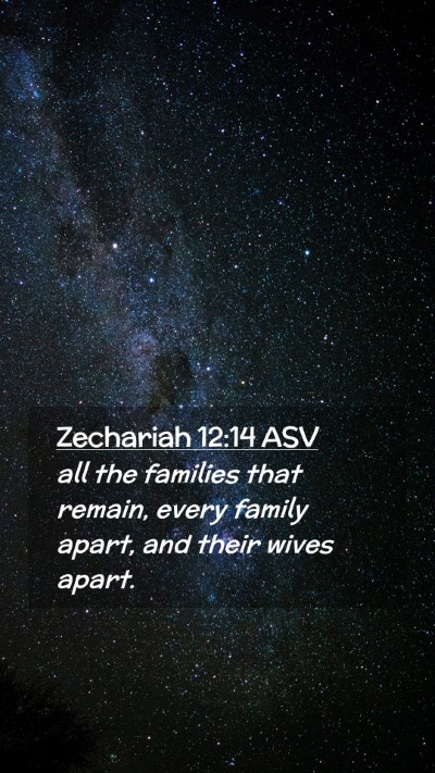 Picture 02 - Zechariah 12:14 ASV Mobile Phone Wallpaper - all the families that remain, every family apart, - Mobile Bible Verse Wallpaper
