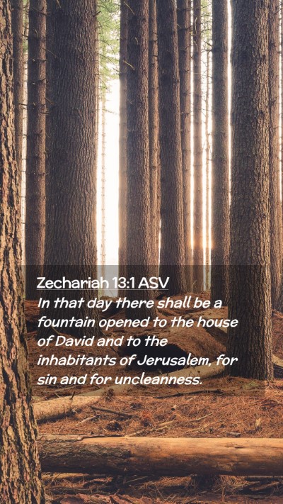 Picture 02 - Zechariah 13:1 ASV Mobile Phone Wallpaper - In that day there shall be a fountain opened to - Mobile Bible Verse Wallpaper