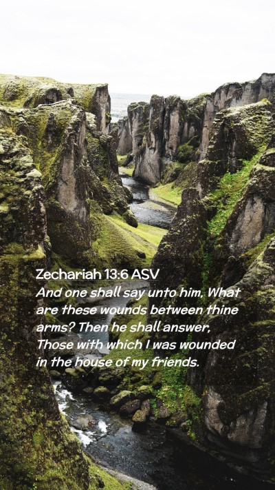 Picture 02 - Zechariah 13:6 ASV Mobile Phone Wallpaper - And one shall say unto him, What are these wounds - Mobile Bible Verse Wallpaper