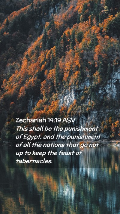 Picture 02 - Zechariah 14:19 ASV Mobile Phone Wallpaper - This shall be the punishment of Egypt, and the - Mobile Bible Verse Wallpaper
