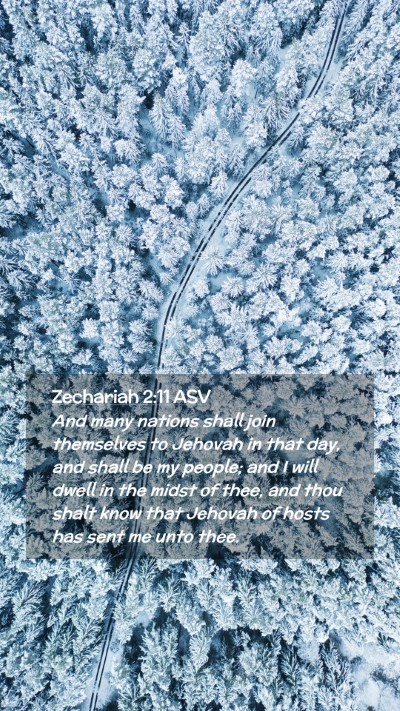 Picture 02 - Zechariah 2:11 ASV Mobile Phone Wallpaper - And many nations shall join themselves to Jehovah - Mobile Bible Verse Wallpaper