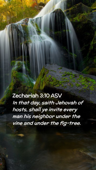 Picture 02 - Zechariah 3:10 ASV Mobile Phone Wallpaper - In that day, saith Jehovah of hosts, shall ye - Mobile Bible Verse Wallpaper