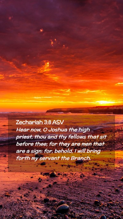 Picture 02 - Zechariah 3:8 ASV Mobile Phone Wallpaper - Hear now, O Joshua the high priest, thou and thy - Mobile Bible Verse Wallpaper