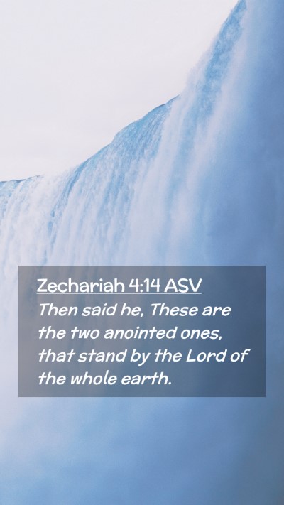 Picture 02 - Zechariah 4:14 ASV Mobile Phone Wallpaper - Then said he, These are the two anointed ones, - Mobile Bible Verse Wallpaper