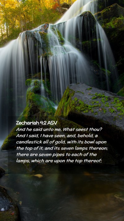 Picture 02 - Zechariah 4:2 ASV Mobile Phone Wallpaper - And he said unto me, What seest thou? And I said, - Mobile Bible Verse Wallpaper