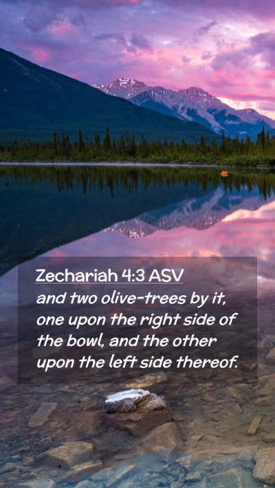 Picture 02 - Zechariah 4:3 ASV Mobile Phone Wallpaper - and two olive-trees by it, one upon the right - Mobile Bible Verse Wallpaper