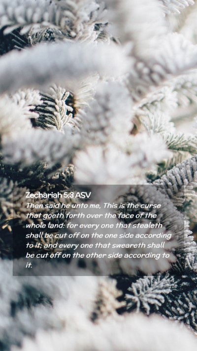 Picture 02 - Zechariah 5:3 ASV Mobile Phone Wallpaper - Then said he unto me, This is the curse that - Mobile Bible Verse Wallpaper