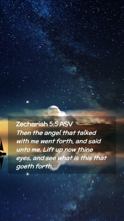 Picture 02 - Zechariah 5:5 ASV Mobile Phone Wallpaper - Then the angel that talked with me went forth, - Mobile Bible Verse Wallpaper