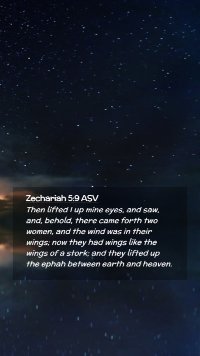 Picture 02 - Zechariah 5:9 ASV Mobile Phone Wallpaper - Then lifted I up mine eyes, and saw, and, behold, - Mobile Bible Verse Wallpaper