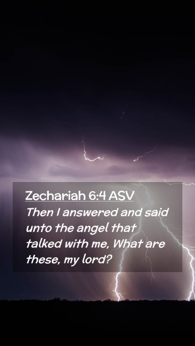 Picture 02 - Zechariah 6:4 ASV Mobile Phone Wallpaper - Then I answered and said unto the angel that - Mobile Bible Verse Wallpaper