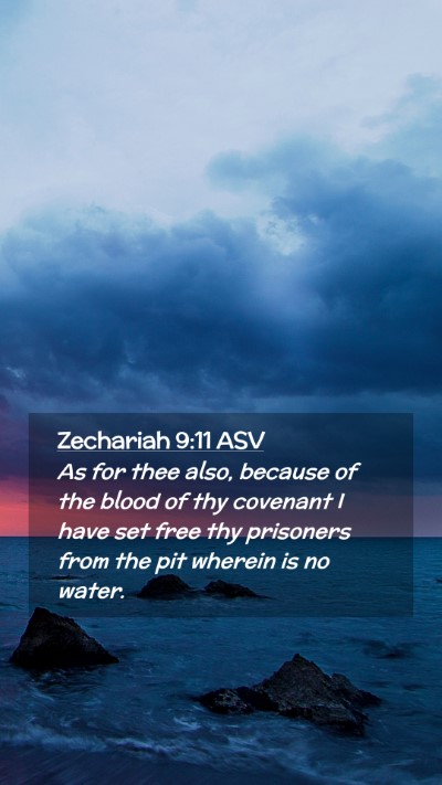 Picture 02 - Zechariah 9:11 ASV Mobile Phone Wallpaper - As for thee also, because of the blood of thy - Mobile Bible Verse Wallpaper