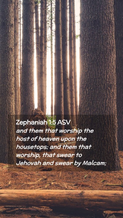 Picture 02 - Zephaniah 1:5 ASV Mobile Phone Wallpaper - and them that worship the host of heaven upon the - Mobile Bible Verse Wallpaper