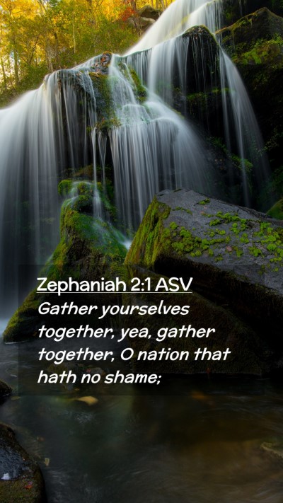 Picture 02 - Zephaniah 2:1 ASV Mobile Phone Wallpaper - Gather yourselves together, yea, gather together, - Mobile Bible Verse Wallpaper