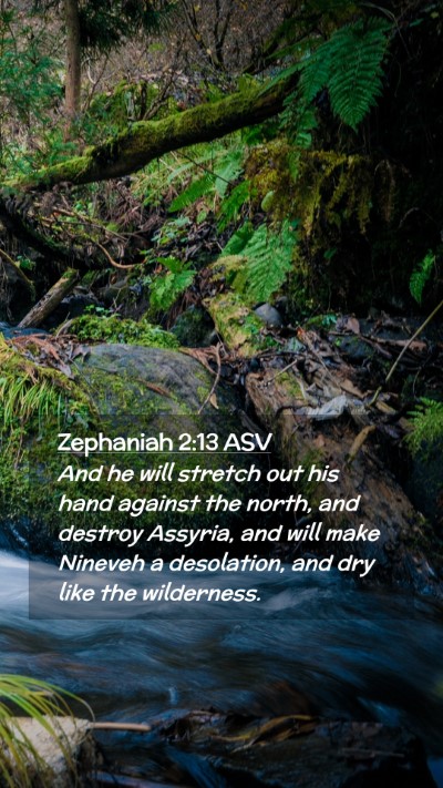 Picture 02 - Zephaniah 2:13 ASV Mobile Phone Wallpaper - And he will stretch out his hand against the - Mobile Bible Verse Wallpaper