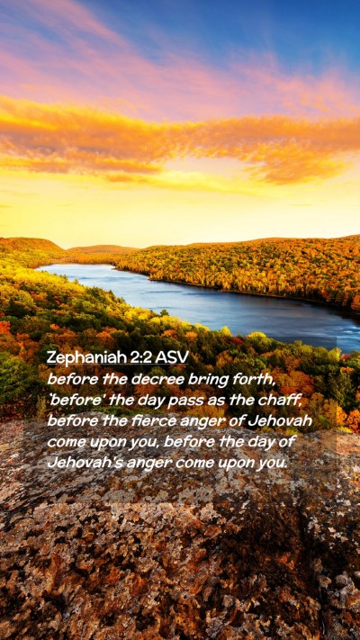 Picture 02 - Zephaniah 2:2 ASV Mobile Phone Wallpaper - before the decree bring forth, `before' the day - Mobile Bible Verse Wallpaper