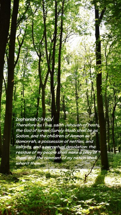 Picture 02 - Zephaniah 2:9 ASV Mobile Phone Wallpaper - Therefore as I live, saith Jehovah of hosts, the - Mobile Bible Verse Wallpaper