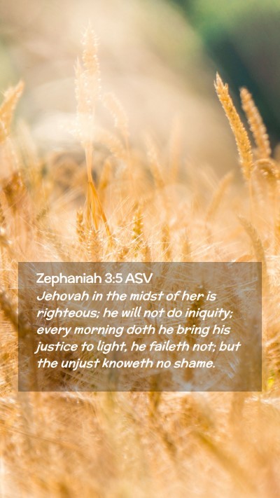 Picture 02 - Zephaniah 3:5 ASV Mobile Phone Wallpaper - Jehovah in the midst of her is righteous; he will - Mobile Bible Verse Wallpaper