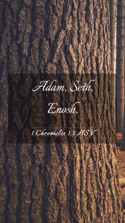 Picture 03 - 1 Chronicles 1:1 ASV Mobile Phone Wallpaper - Adam, Seth, - Mobile Bible Verse Wallpaper