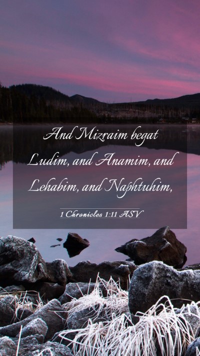 Picture 03 - 1 Chronicles 1:11 ASV Mobile Phone Wallpaper - And Mizraim begat Ludim, and Anamim, and Lehabim, - Mobile Bible Verse Wallpaper