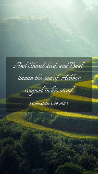 Picture 03 - 1 Chronicles 1:49 ASV Mobile Phone Wallpaper - And Shaul died, and Baal-hanan the son of Achbor - Mobile Bible Verse Wallpaper