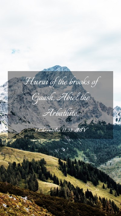 Picture 03 - 1 Chronicles 11:32 ASV Mobile Phone Wallpaper - Hurai of the brooks of Gaash, Abiel the - Mobile Bible Verse Wallpaper