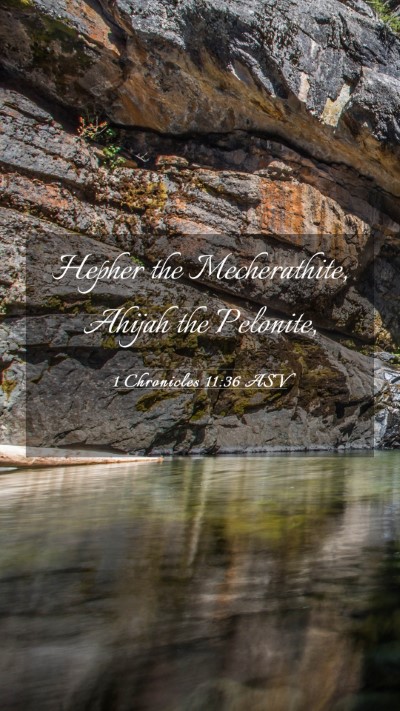 Picture 03 - 1 Chronicles 11:36 ASV Mobile Phone Wallpaper - Hepher the Mecherathite, Ahijah the - Mobile Bible Verse Wallpaper