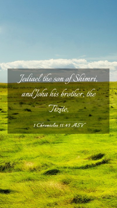 Picture 03 - 1 Chronicles 11:45 ASV Mobile Phone Wallpaper - Jediael the son of Shimri, and Joha his brother, - Mobile Bible Verse Wallpaper
