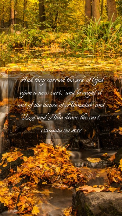 Picture 03 - 1 Chronicles 13:7 ASV Mobile Phone Wallpaper - And they carried the ark of God upon a new cart, - Mobile Bible Verse Wallpaper