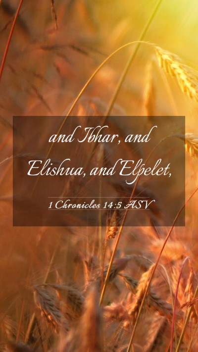 Picture 03 - 1 Chronicles 14:5 ASV Mobile Phone Wallpaper - and Ibhar, and Elishua, and - Mobile Bible Verse Wallpaper