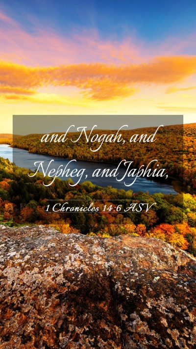 Picture 03 - 1 Chronicles 14:6 ASV Mobile Phone Wallpaper - and Nogah, and Nepheg, and - Mobile Bible Verse Wallpaper