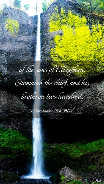 Picture 03 - 1 Chronicles 15:8 ASV Mobile Phone Wallpaper - of the sons of Elizaphan, Shemaiah the chief, and - Mobile Bible Verse Wallpaper