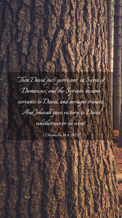 Picture 03 - 1 Chronicles 18:6 ASV Mobile Phone Wallpaper - Then David put `garrisons' in Syria of Damascus; - Mobile Bible Verse Wallpaper
