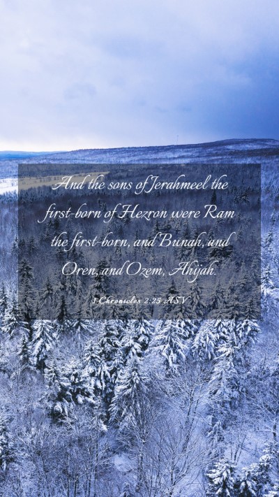Picture 03 - 1 Chronicles 2:25 ASV Mobile Phone Wallpaper - And the sons of Jerahmeel the first-born of - Mobile Bible Verse Wallpaper