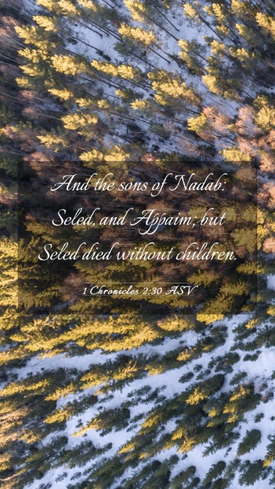 Picture 03 - 1 Chronicles 2:30 ASV Mobile Phone Wallpaper - And the sons of Nadab: Seled, and Appaim; but - Mobile Bible Verse Wallpaper