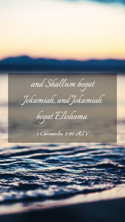 Picture 03 - 1 Chronicles 2:41 ASV Mobile Phone Wallpaper - and Shallum begat Jekamiah, and Jekamiah begat - Mobile Bible Verse Wallpaper
