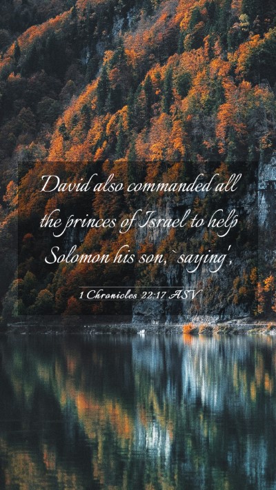Picture 03 - 1 Chronicles 22:17 ASV Mobile Phone Wallpaper - David also commanded all the princes of Israel to - Mobile Bible Verse Wallpaper