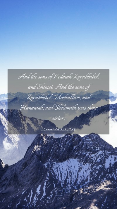 Picture 03 - 1 Chronicles 3:19 ASV Mobile Phone Wallpaper - And the sons of Pedaiah: Zerubbabel, and Shimei. - Mobile Bible Verse Wallpaper