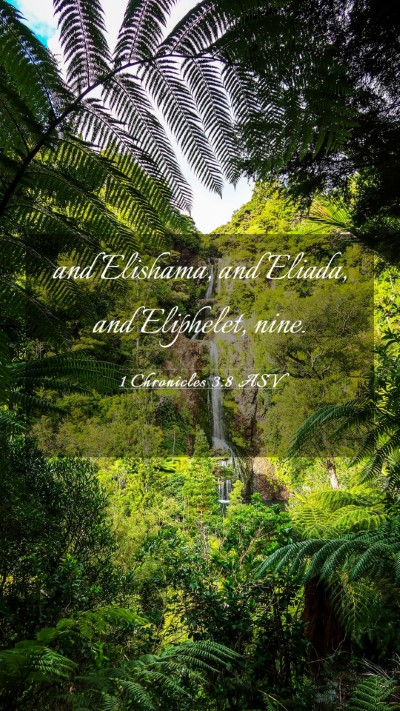 Picture 03 - 1 Chronicles 3:8 ASV Mobile Phone Wallpaper - and Elishama, and Eliada, and Eliphelet, - Mobile Bible Verse Wallpaper