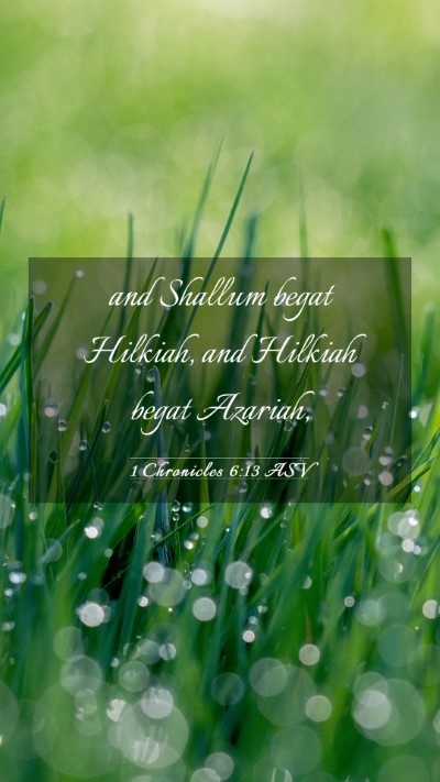 Picture 03 - 1 Chronicles 6:13 ASV Mobile Phone Wallpaper - and Shallum begat Hilkiah, and Hilkiah begat - Mobile Bible Verse Wallpaper