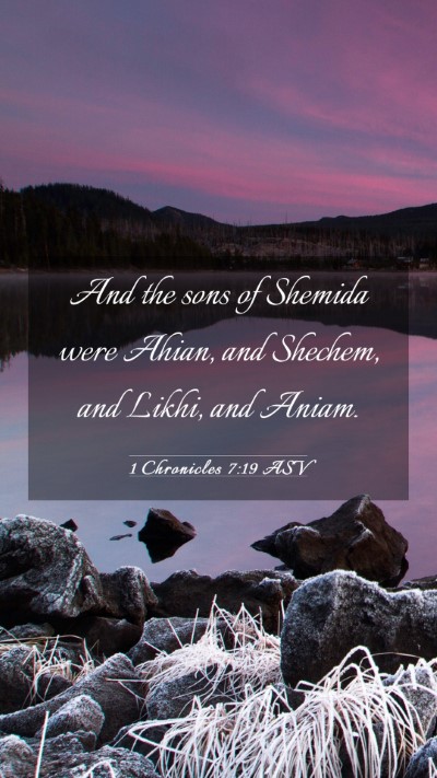 Picture 03 - 1 Chronicles 7:19 ASV Mobile Phone Wallpaper - And the sons of Shemida were Ahian, and Shechem, - Mobile Bible Verse Wallpaper