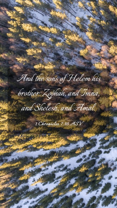 Picture 03 - 1 Chronicles 7:35 ASV Mobile Phone Wallpaper - And the sons of Helem his brother: Zophah, and - Mobile Bible Verse Wallpaper