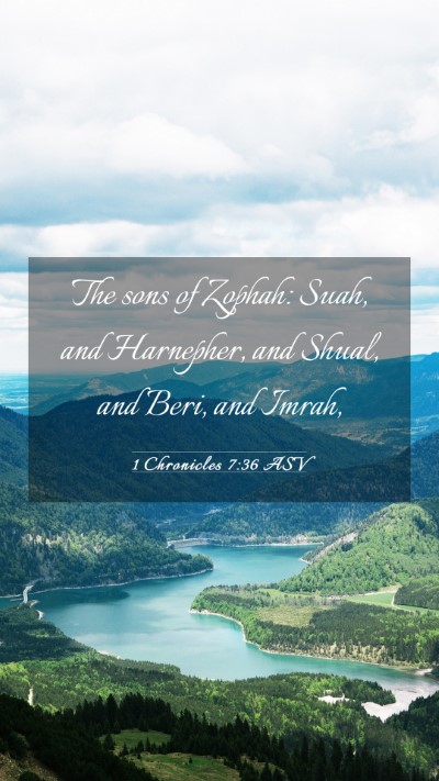 Picture 03 - 1 Chronicles 7:36 ASV Mobile Phone Wallpaper - The sons of Zophah: Suah, and Harnepher, and - Mobile Bible Verse Wallpaper