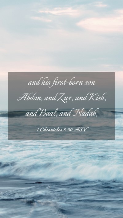 Picture 03 - 1 Chronicles 8:30 ASV Mobile Phone Wallpaper - and his first-born son Abdon, and Zur, and Kish, - Mobile Bible Verse Wallpaper