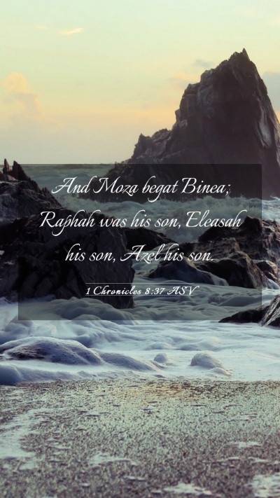 Picture 03 - 1 Chronicles 8:37 ASV Mobile Phone Wallpaper - And Moza begat Binea; Raphah was his son, Eleasah - Mobile Bible Verse Wallpaper