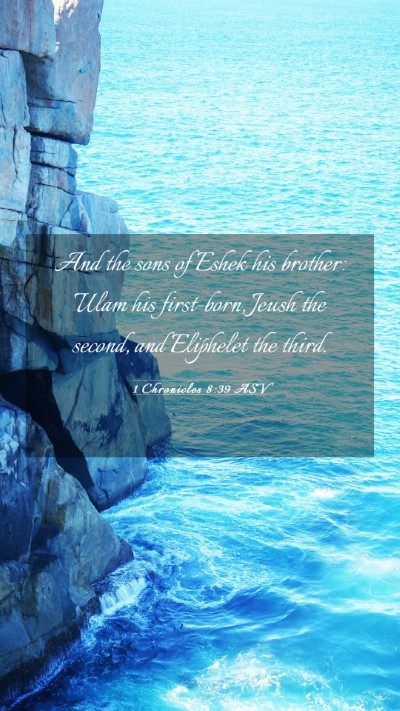 Picture 03 - 1 Chronicles 8:39 ASV Mobile Phone Wallpaper - And the sons of Eshek his brother: Ulam his - Mobile Bible Verse Wallpaper